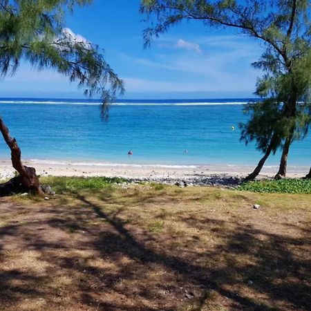 Le Tamarin Bleu - Studio A 300 M De La Plage La Saline Les Bains Zewnętrze zdjęcie