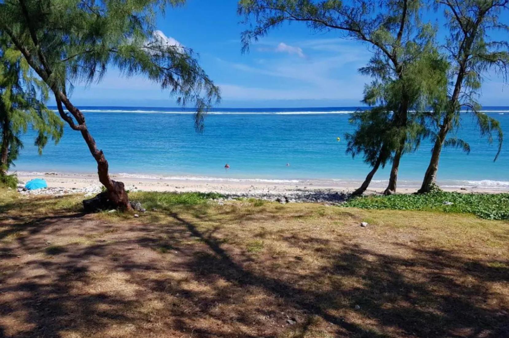 Le Tamarin Bleu - Studio A 300 M De La Plage La Saline Les Bains Zewnętrze zdjęcie